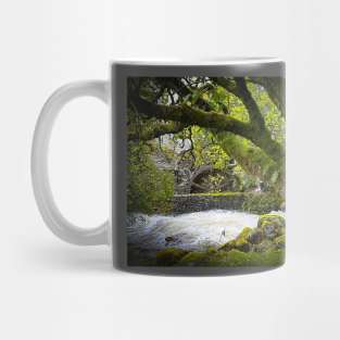 Borrowdale water Mill Mug